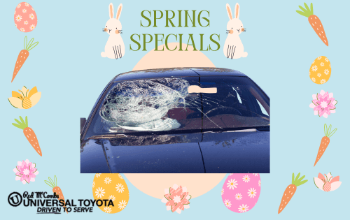 Wonderous Windshield Discounts!