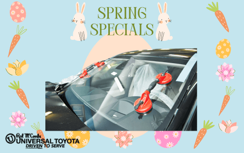 See Clear Discounts!