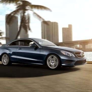 2017 E Class PAlm Tree