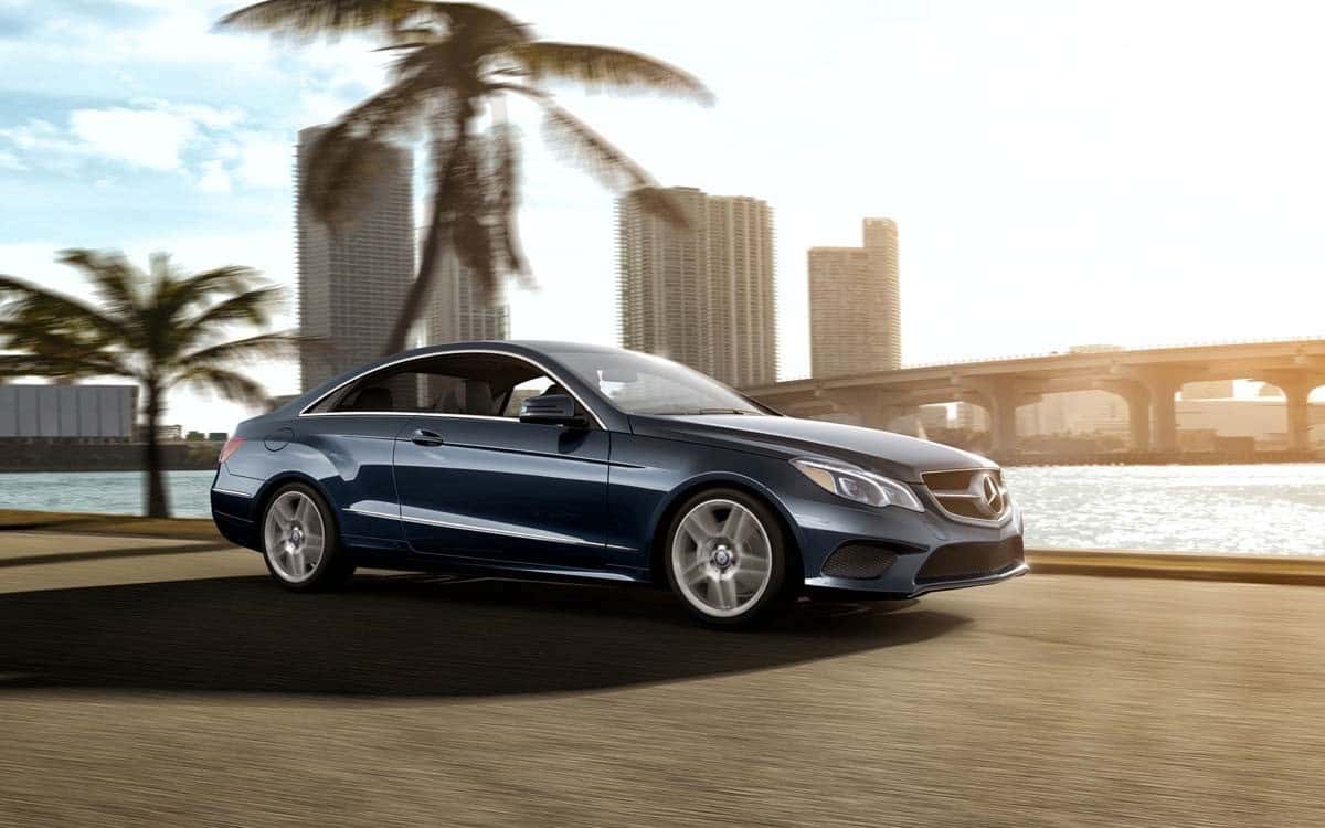 2017 E Class PAlm Tree