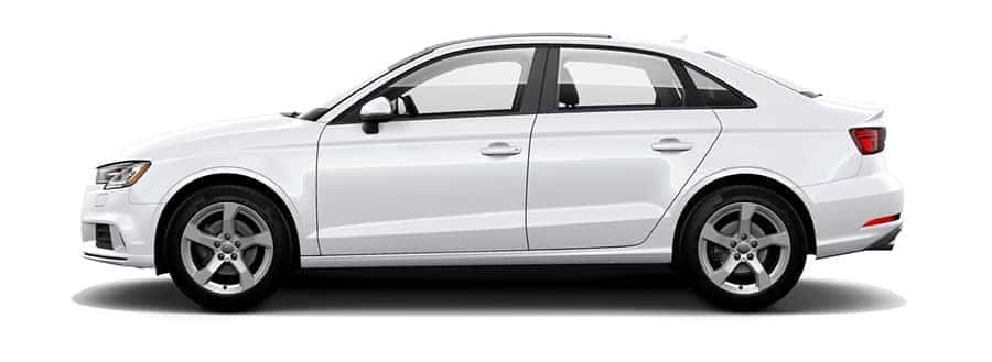 Ibis White
