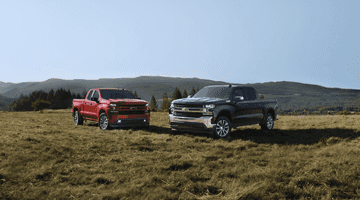 An exterior shot of three cars