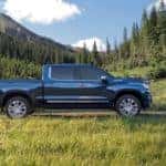 sideview of blue truck in green wilderness