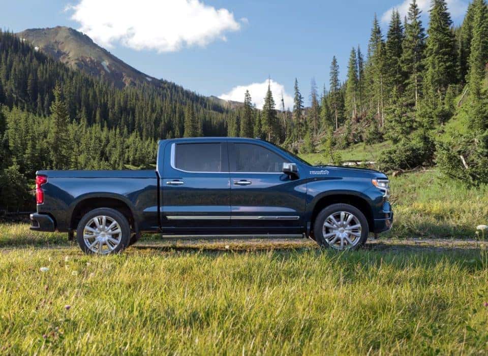 sideview of blue truck in green wilderness