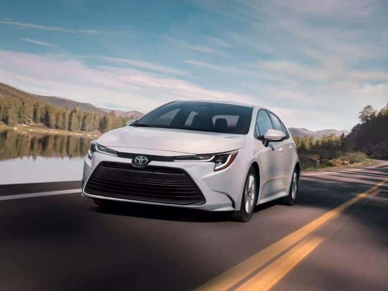 The new economical Toyota Corolla Hybrid near Natchitoches LA