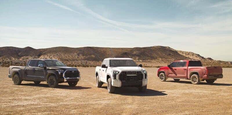 2024 Toyota Tundra - TRD Family